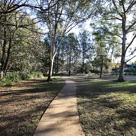  Enmore TAFE Park